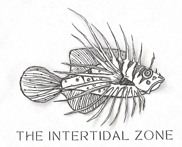 The Intertidal Zone